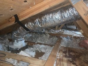 WhatsApp Image 2025-05-10 at 18.35.48_57f30129 - Duct and AC Masters