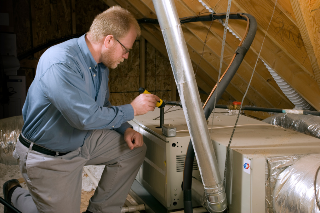 attic inspection
